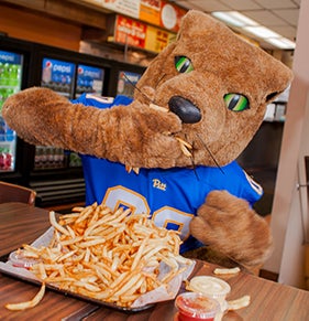 Roc the Panther eats fries at The O