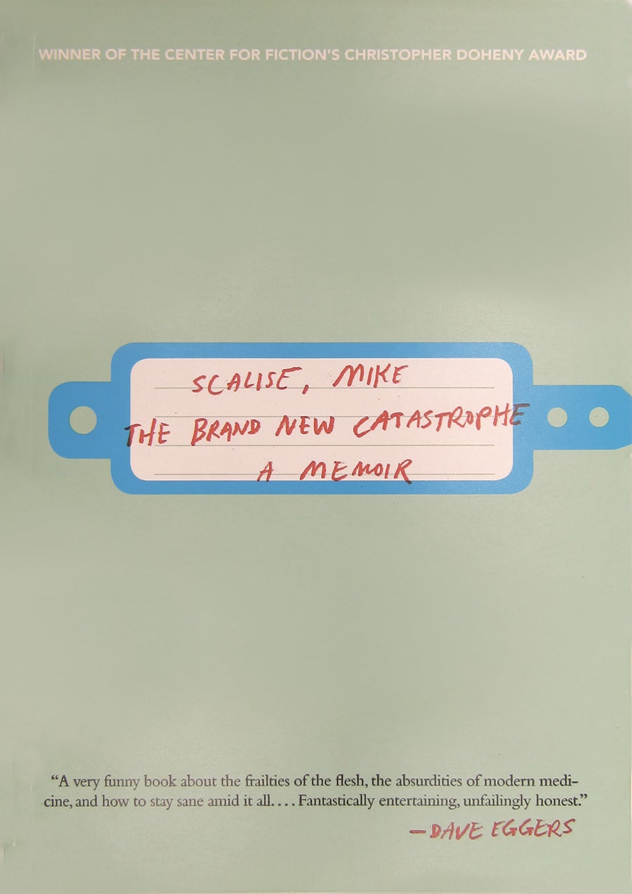 The Brand New Catastrophe book cover