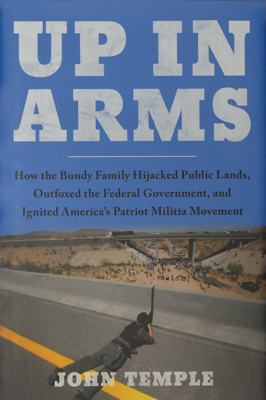Cover of John Temple's nonfiction book Up in Arms
